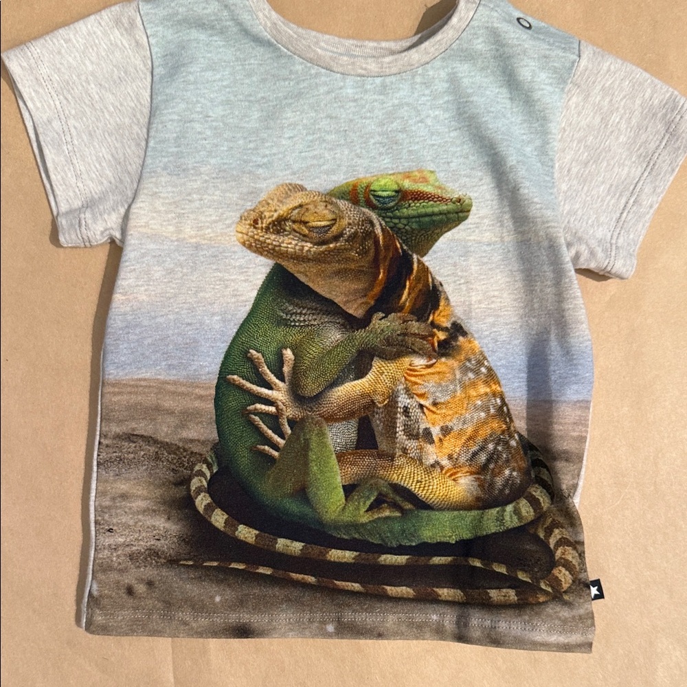 Molo Lizard Embrace T-Shirt in Gray and Green - Sise 18months
